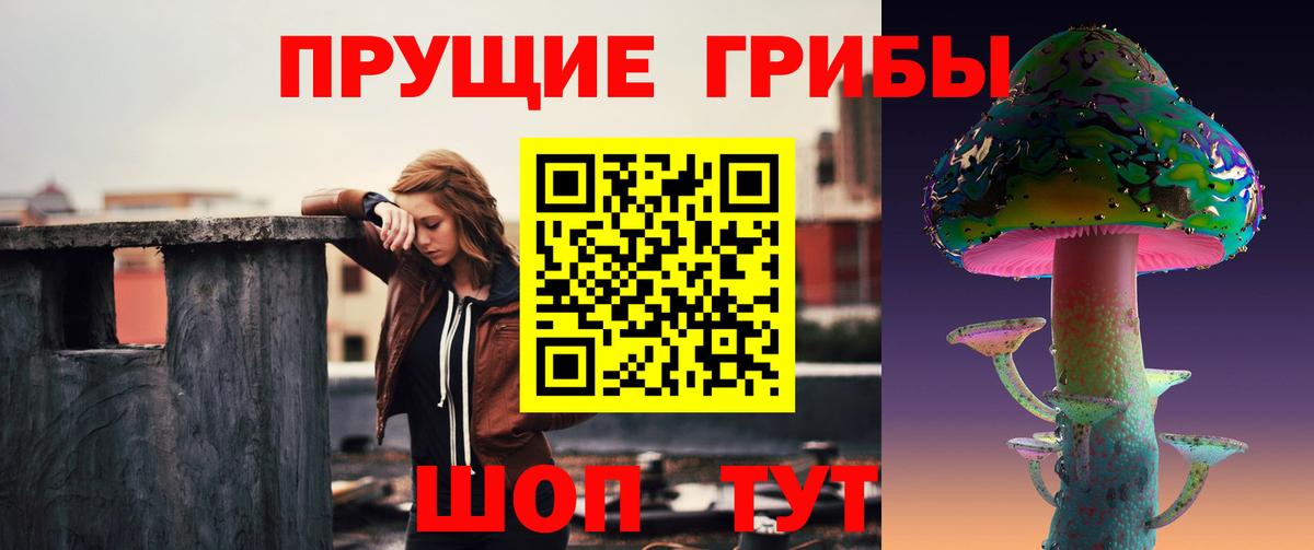 как найти   Псилоцибиновые грибы прущие грибы  Вход с VPN  Елабуга 